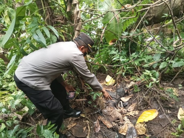 Tengkorak dan tulang belulang sebagian anggota tubuh manusia ditemukan di tepi Sungai Tunggal Desa Selabaya Kecamatan Kalimanah, Kabupaten Purbalingga, Jumat (17/1/2025). (Foto : Humas Polres Purbalingga).
