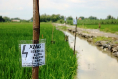 Karanganyar Larang Penggunaan Jebakan Tikus Beraliran Listrik
