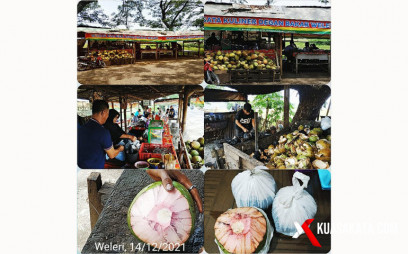 Vaksin dan Air Kelapa Muda