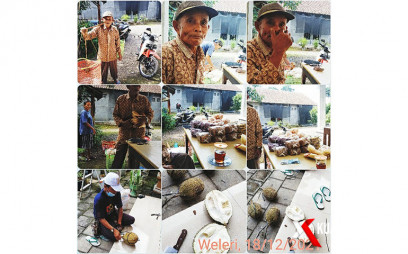 Opak Pak Maat