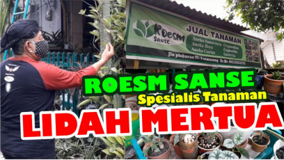 Berawal dari Hobi, Hingga Bisa Menambah Penghasilan