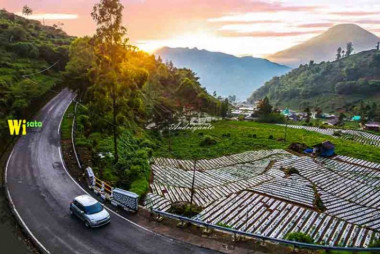 Dingin-dingin Empuk! Lima Jalur Jalan di Wonosobo Serasa di New Zealand