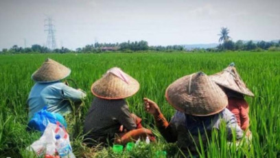 Peran Generasi Muda dalam Mengembangkan Sektor Pertanian di Era Digital
