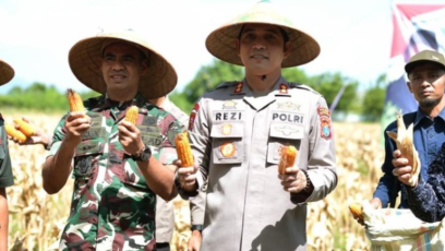 Kapolres Situbondo Kenalkan Varietas Jagung Bhayangkara dalam Panen Raya Serentak