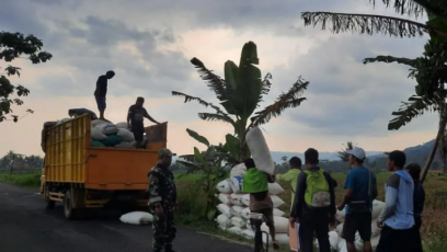Petani Banyumas Raya Puas dengan Harga Gabah dan Pelayanan Bulog