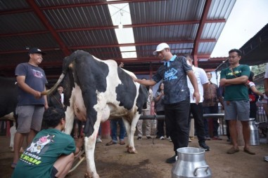 Bupati Boyolali Buka Kontes Sapi APPSI Session 2
