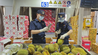 Peluang Durian Nusantara di Tengah Besarnya Pasar China