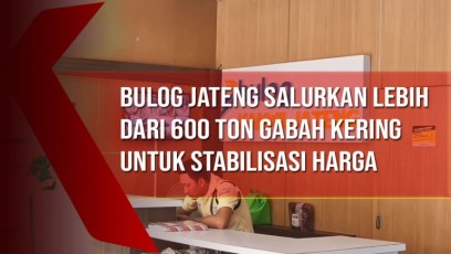 Bulog Jateng Salurkan Lebih dari 600 Ton Gabah Kering untuk Stabilisasi Harga Pangan